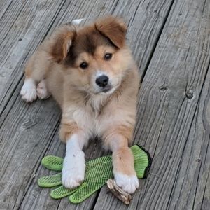 Meet your Posher, Olivia